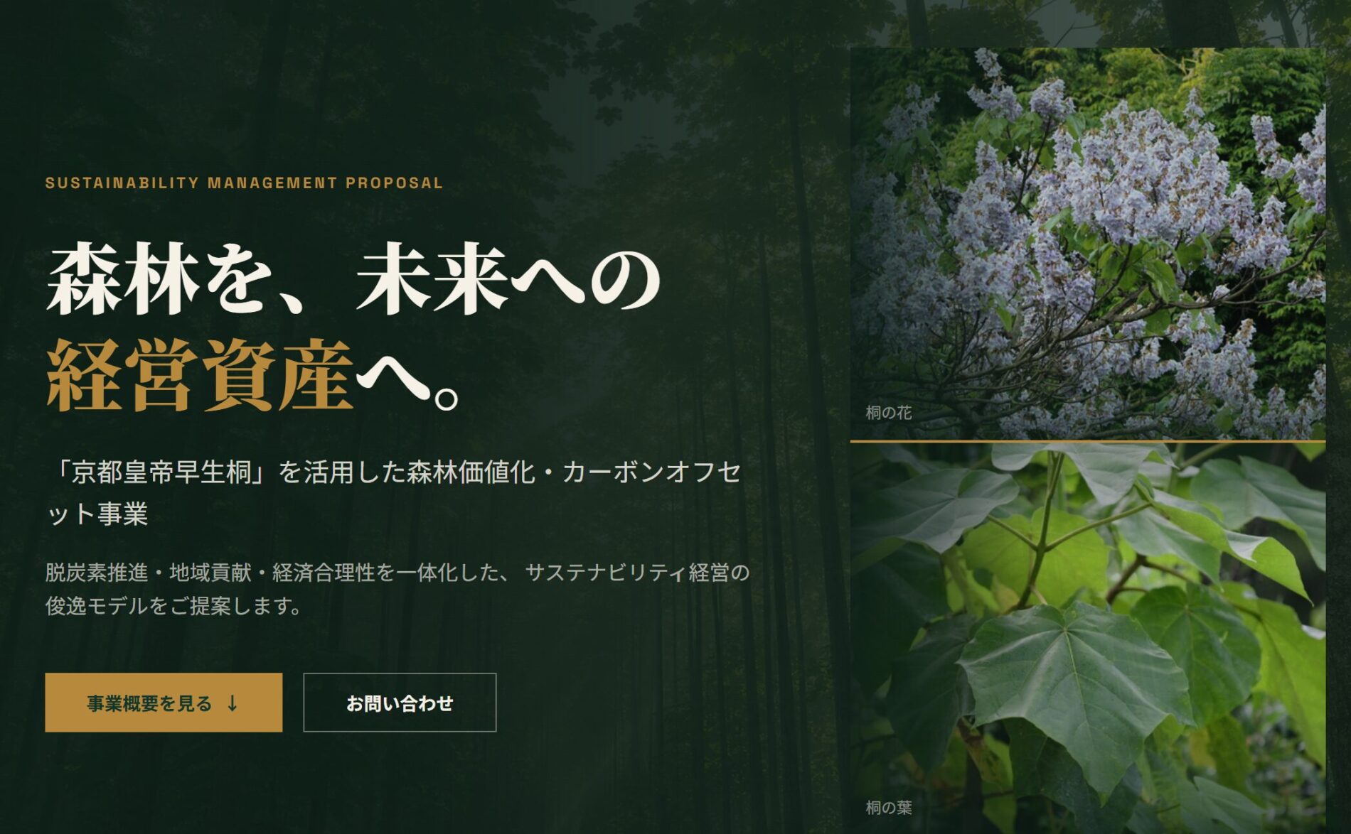 株式会社SANSEI
